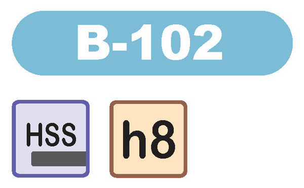 HSS H8
